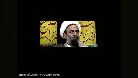 استاد پناهیان: من به تقسیم کار معتقد هستم