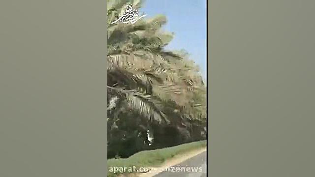 رانندگی عجیب و غریب سعودی ها در خیایان های ریاض!