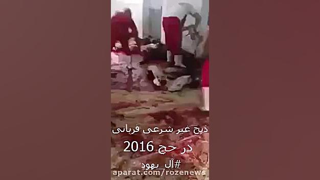 موج نفرت از آل سعودبدنبال ذبح غیرشرعی قربانی درحج 2016